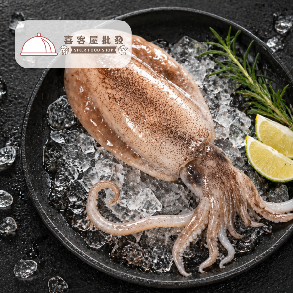 5A生食規格軟絲(300g)