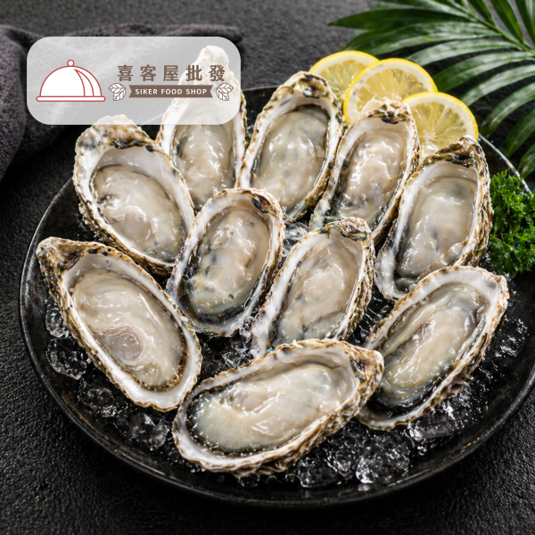 日本兵庫生食生蠔(1Kg約9-11顆)