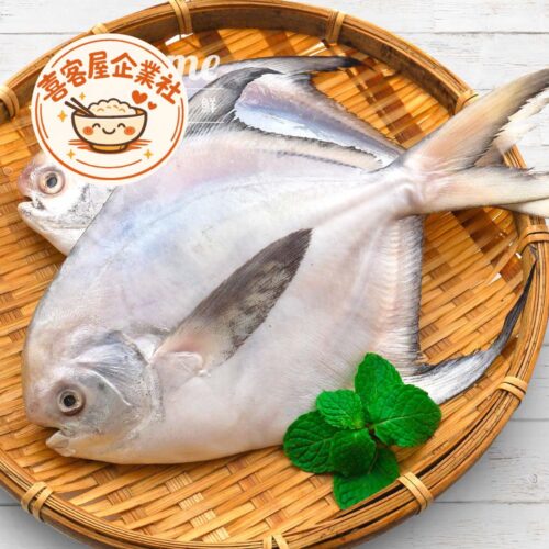 印度大白鯧(500/600g)