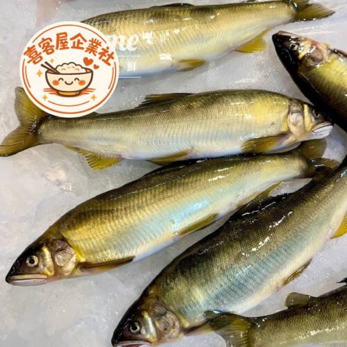 台灣宜蘭母香魚(10隻裝)