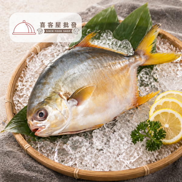 三去黃金鯧魚