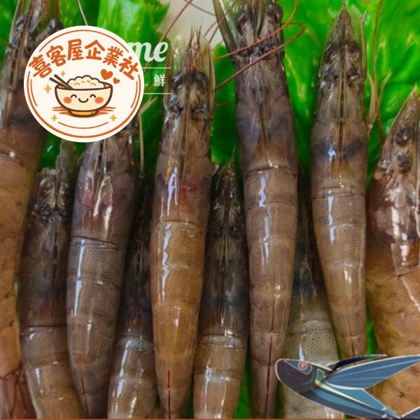 進口嚴選生凍大白蝦