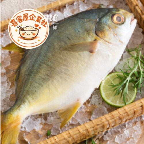 三去黃金鯧魚