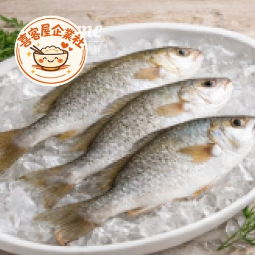 嚴選金目鱸魚