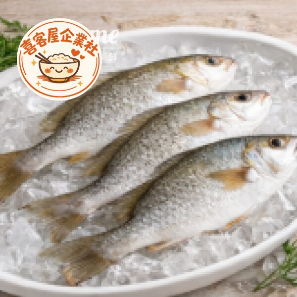 嚴選金目鱸魚