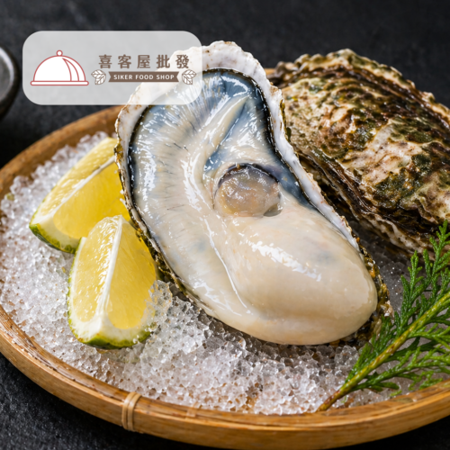 日本生食級頂級生蠔
