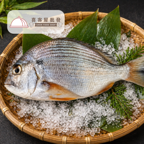 野生斑頭魚