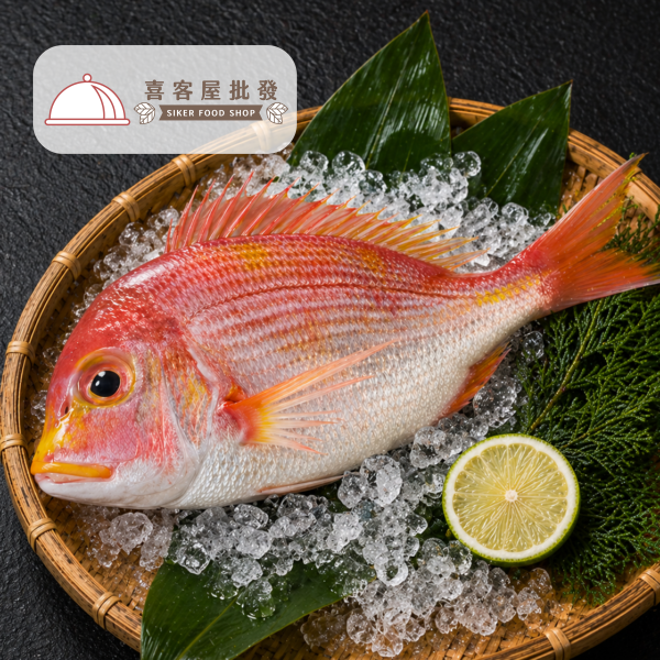 野生赤鯮魚