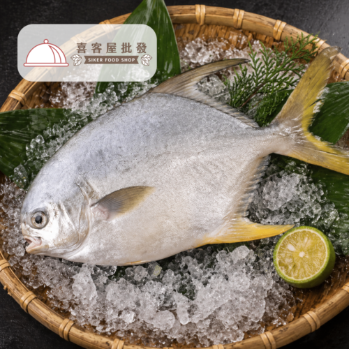 黃金鯧魚