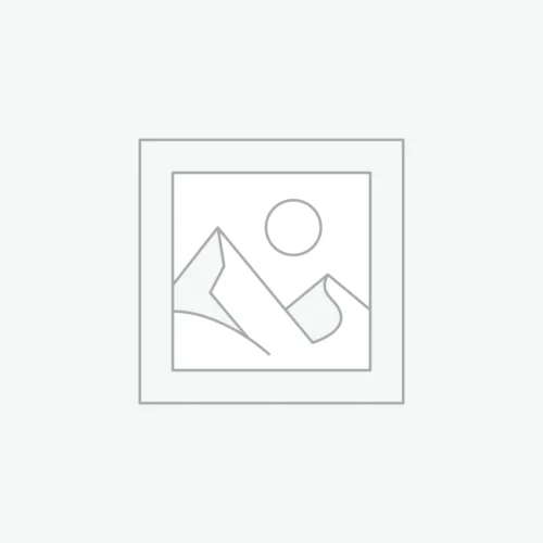 台灣鯛魚厚切下巴